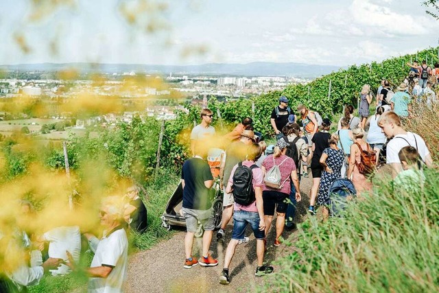 Bei der Weinwanderung &#8222;Auf den S... im Glas das schne Panorama genieen.  | Foto: WG Wolfenweiler