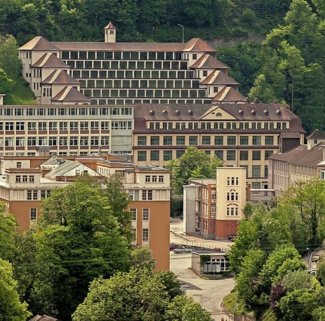 Ebenfalls ein Teil des Schwarzwaldes u...chte: die Uhrenindustrie in Schramberg  | Foto: WIERZBA photographie