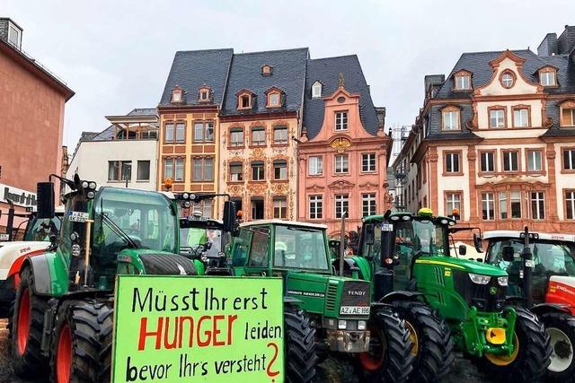 Bauern kämpfen gegen Pläne der EU