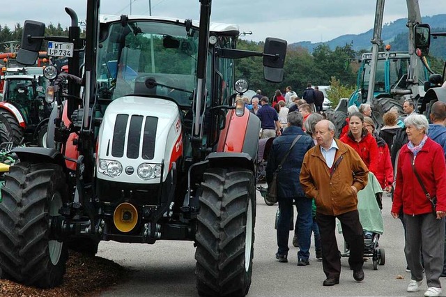 In Scharen zog es  die Besucher im Jah...tzten Hoffest Kammerer nach Niederhof.  | Foto: Brigitte Chymo