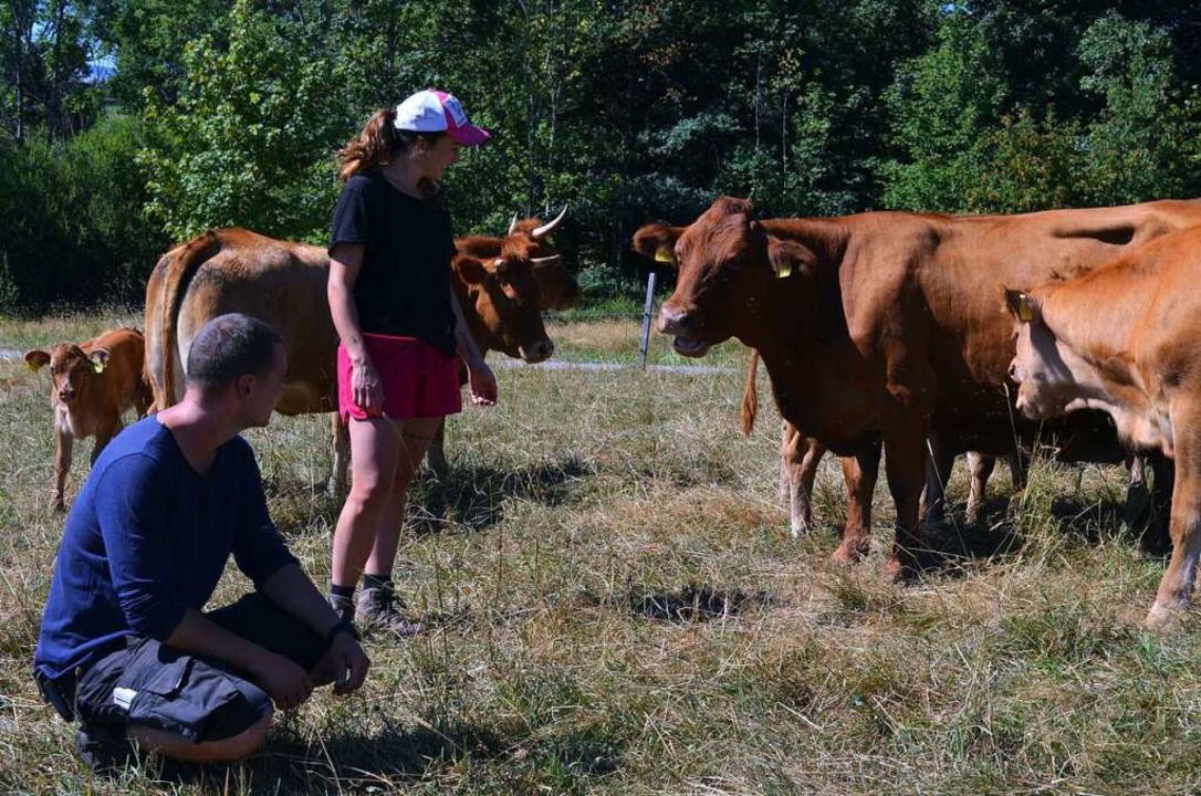 Nick und Tamara zeigen einen Teil der Kuhherde.  | Foto: Nikola Vogt