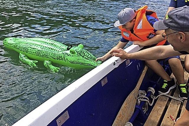 RHEINFÄLLE: Ein Krokodil im Rhein