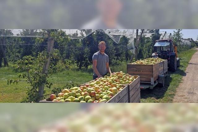Apfelbauern plagen Absatzprobleme