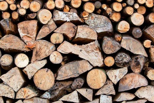 Die Energiekrise hat die Nachfrage nach Brennholz im Kreis Emmendingen stark ansteigen lassen