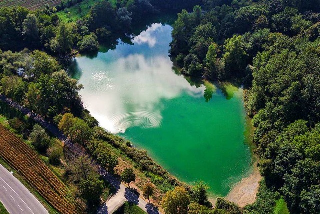 Der Winklerbergsee bei Ihringen von ob... des Gewssers hat sich grn verfrbt.  | Foto: Hubert Gemmert