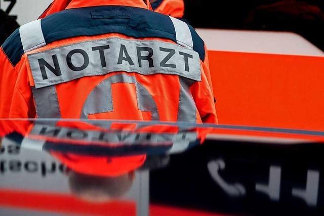 Bei Notfllen im Grenzgebiet sollen deutsche und franzsische Retter zum Einsatz kommen