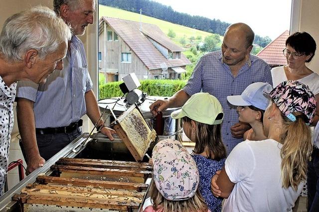 Imker und Bienen bei der Arbeit zuschauen