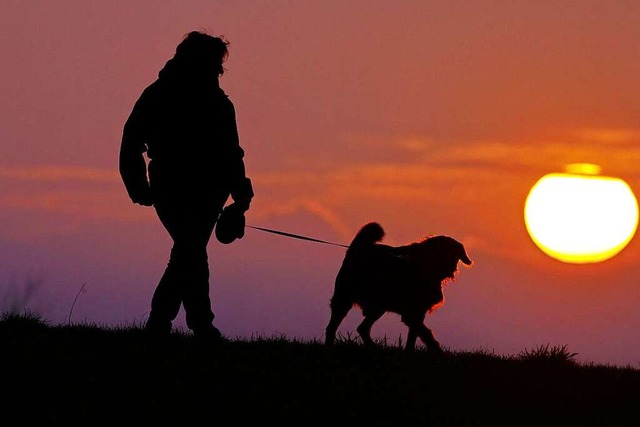 Die Einnahmen aus der Hundesteuer sind...miejahr auf ein Rekordhoch geklettert.  | Foto: Thomas Warnack (dpa)