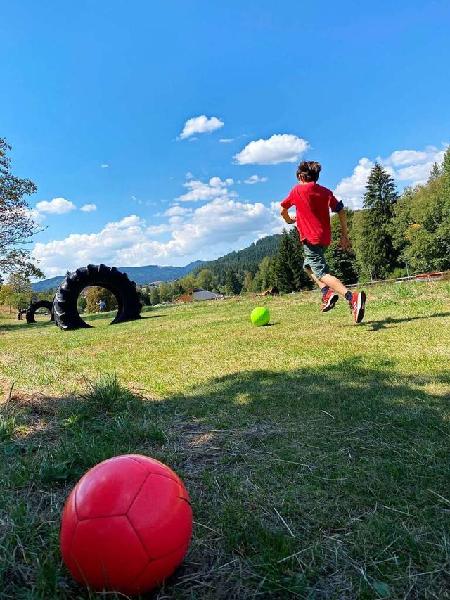 Durch drei Traktorfeifen muss der Ball beim Fuballgolf.  | Foto: Franziska Jilg