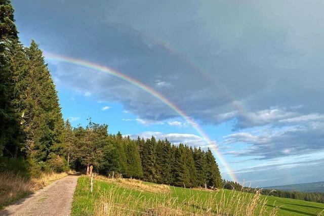 Doppeltes Regenbogenglück auf dem Hochfirstweg bei Lenzkirch