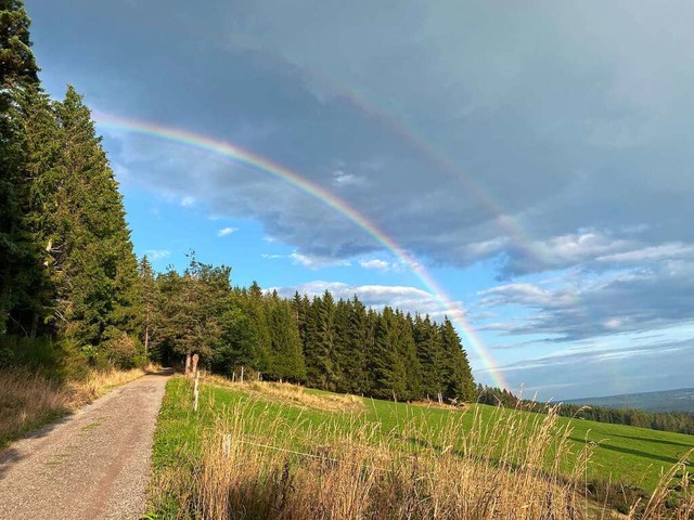 Doppelter Regenbogen auf dem Hochfirstweg bei Saig.  | Foto: Regina Lohmann