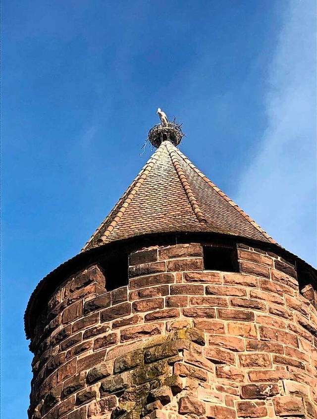 Der Storch auf dem Turm  | Foto: Stadt Lahr