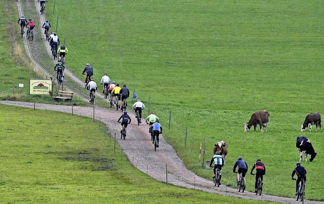 Auf und ab um Furtwangen: Der Schwarzw...arathon ist ein naturnahes Abenteuer.   | Foto: Wolfgang Scheu