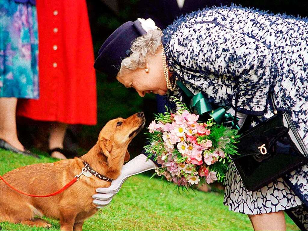 Die Queen mit einem ihrer Corgi-Hunde.