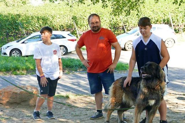 Im Ringsheimer Ferienprogramm lernen Kindern den richtigen Umgang mit Hunden