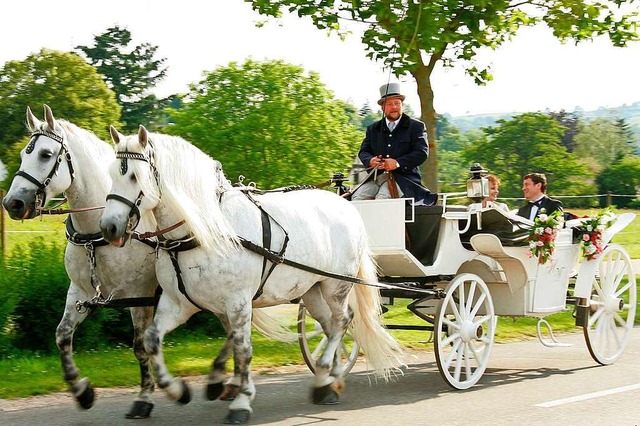 Die Hochzeitskutsche der Familie Weber und ihre Schimmel sind eine Besonderheit.  | Foto: Weber