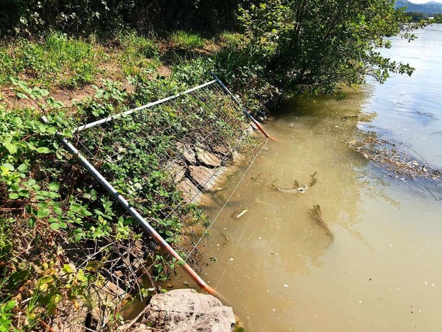 Unbekannte haben an mehreren Stellen  ...d einige Gitter in den Rhein geworfen.  | Foto: Richard Kaiser