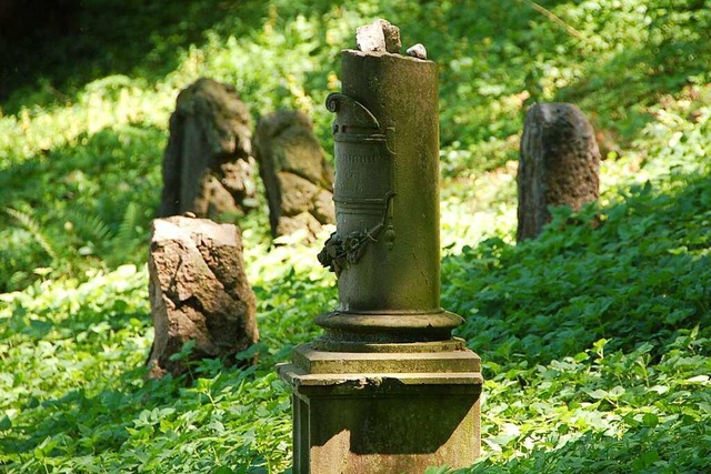 Grabsteine auf dem alten jdischen Friedhof in Lrrach  | Foto: Sabine Ehrentreich