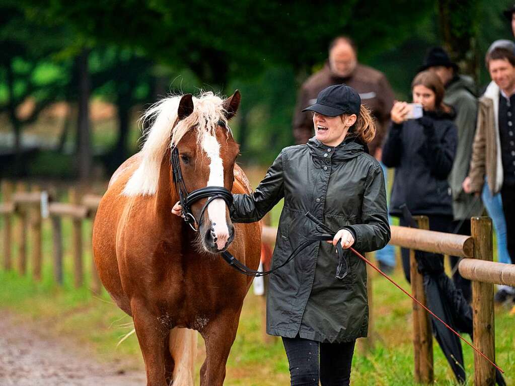 Beim Rossfest in St. Mrgen herrschte drei Tage lang ausgelassene Stimmung.