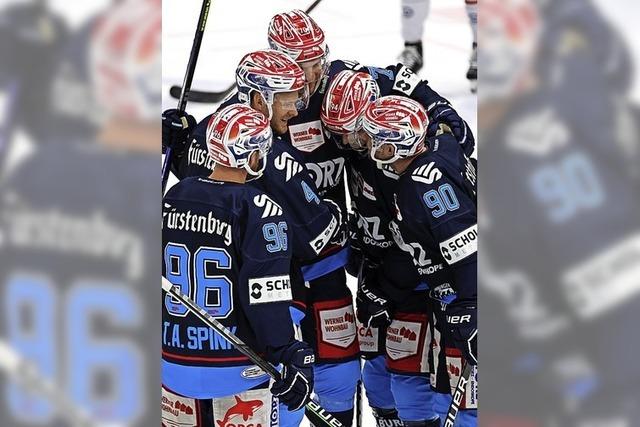 Wild Wings bei der Feinabstimmung