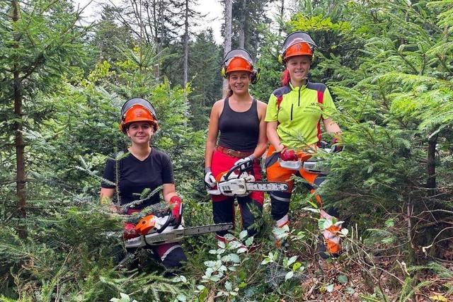 Im Wald von Fröhnd arbeitet derzeit auch ein reines Frauenteam