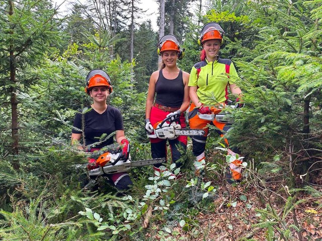 Anna Asal, Miriam Windt, Nina Oberhofer (von links) packen im Wald an.  | Foto: Landratsamt Lrrach