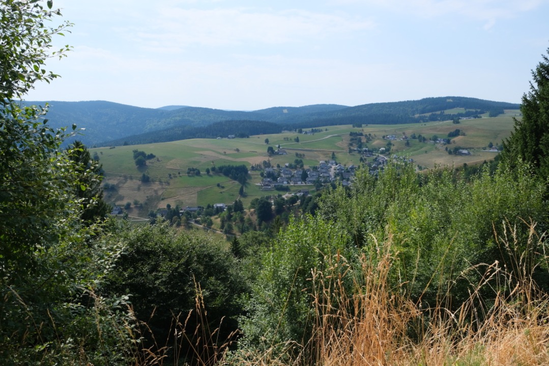 Der Blick vom Museums-Bergwerk auf dem Schauinsland ins Tal.  | Foto: Nina Witwicki