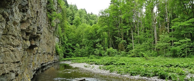 Die Wutachschlucht bleibt fr Urlauber...t so viele Gsteanknfte in der Stadt.  | Foto: Martin Schwenninger