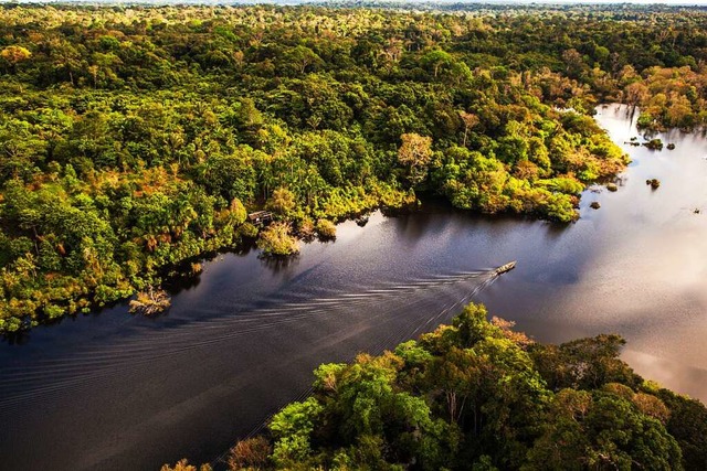 Der Amazonas Regenwald gehrt zu den b...sten tropischen Regenwldern der Welt.  | Foto: Embratur