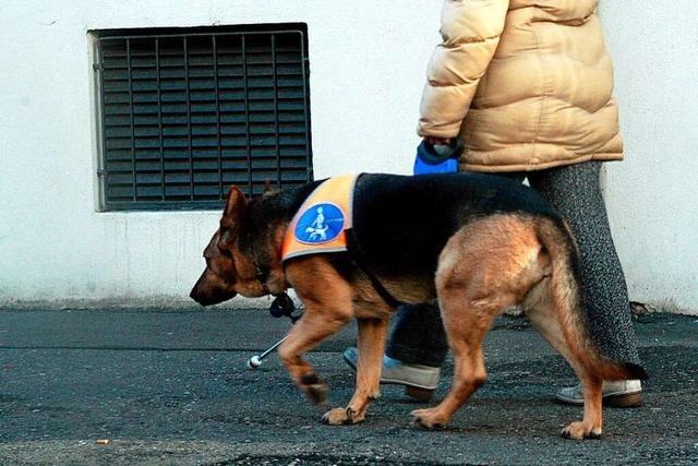 11 Halter könnten in Rheinfelden von einer Befreiung der Hundesteuer profitieren