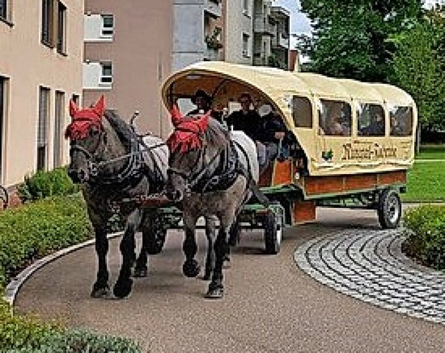 Senioren wurden mit der Kutsche beim St. Franziskusheim abgeholt.  | Foto: MHD Bad Sckingen