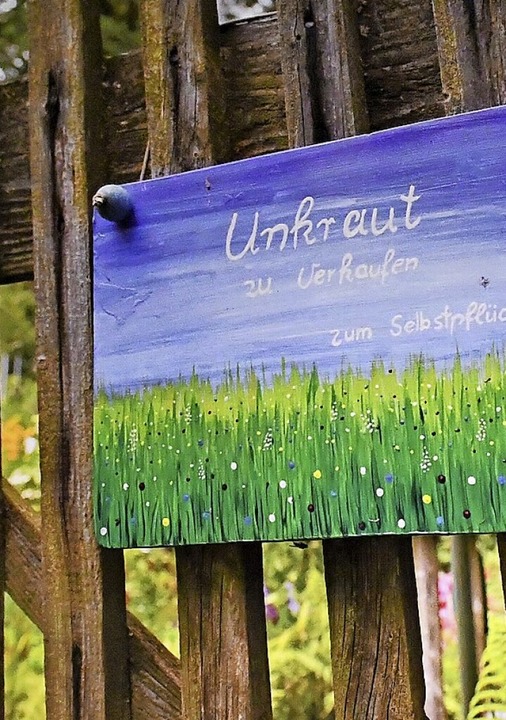 Grn oder Grau in der Stadt? Die Fotoa...r im Hebelsaal des Dreilndermuseums.   | Foto: Barbara Ruda