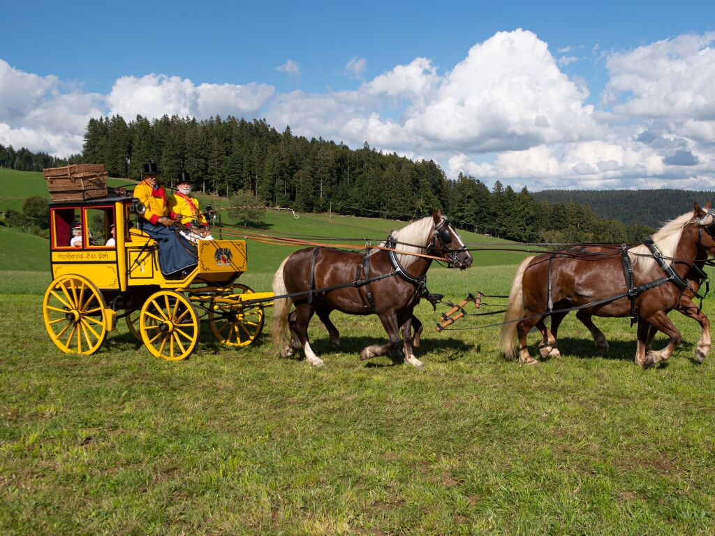 Beim Rossfest in St. Mrgen herrschte drei Tage lang ausgelassene Stimmung.