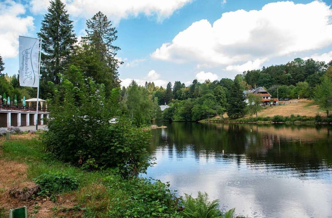 Der Klosterweiher  | Foto: Jonas Hirt