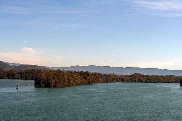 Die Webcam zeigt, wie es derzeit auf dem Rhein aussieht <ppp></ppp>  | Foto: Energiedienst