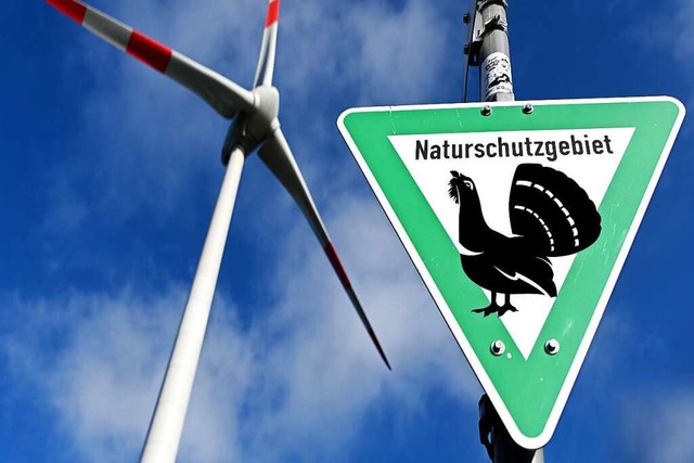 Auerhhner und Windkraft im Schwarzwald bleiben ein Spannungsfeld.  | Foto: Uli Deck/