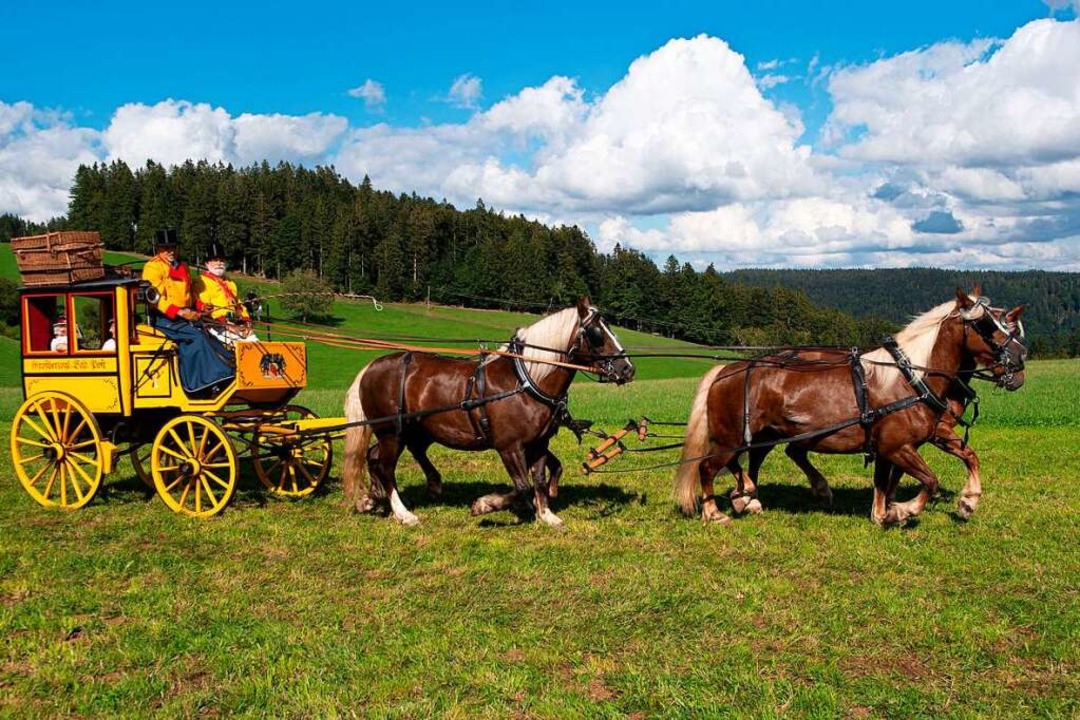 Es war ein goldener Rossfest-Sonntag, ...nd beim groen historischen Festumzug.  | Foto: Wolfgang Scheu