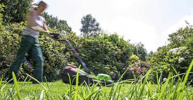 <BZ-FotoAnlauf>Landesgartenschau:</BZ-...s bei der Pflege eines Rasens ankommt.  | Foto: Christin Klose (dpa)