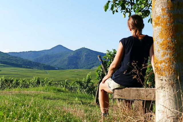 Blick auf die Burgen von Ribeauvill  | Foto: Silke Kohlmann