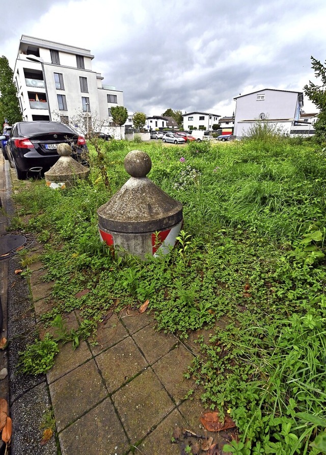 Auf diesem Grundstck auf dem Baugebie...rfer Seniorenprojekt entstehen sollen.  | Foto: Thomas Kunz