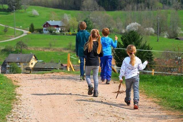 Auf dem Erdmannsweg in Hasel schluckt der Boden Kartoffeln