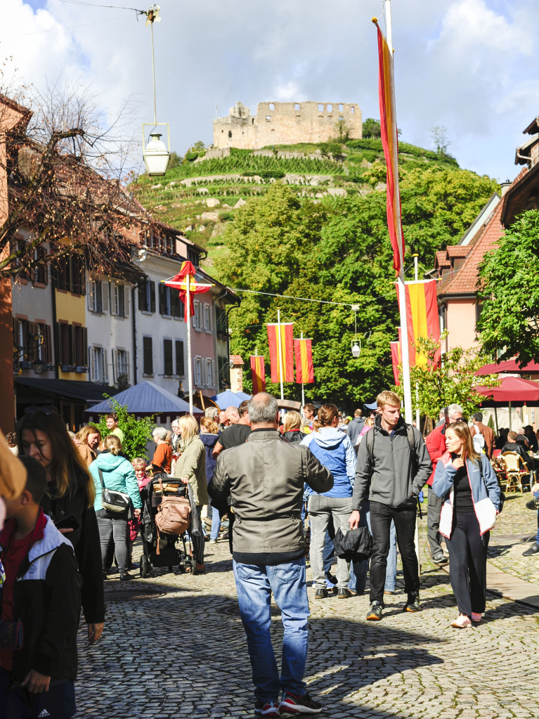 Das Spektakel mit 250 Akteuren brachte Theaterstcke, mittelalterliches Marktgeschehen, den Wettstreit der Gaukler und vieles mehr in die historische Altstadt.