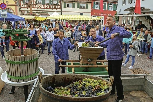 Brgermeister trotten gemeinsam