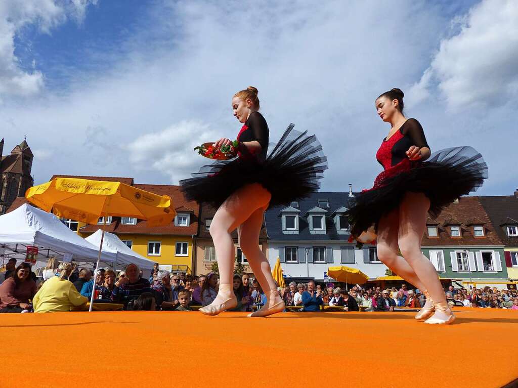 Am Samstagabend rockte Funrise die Bhne am Marktplatz. Am Sonntag bernahmen unter anderem Storl and Friends, Fees Ballettschule und 