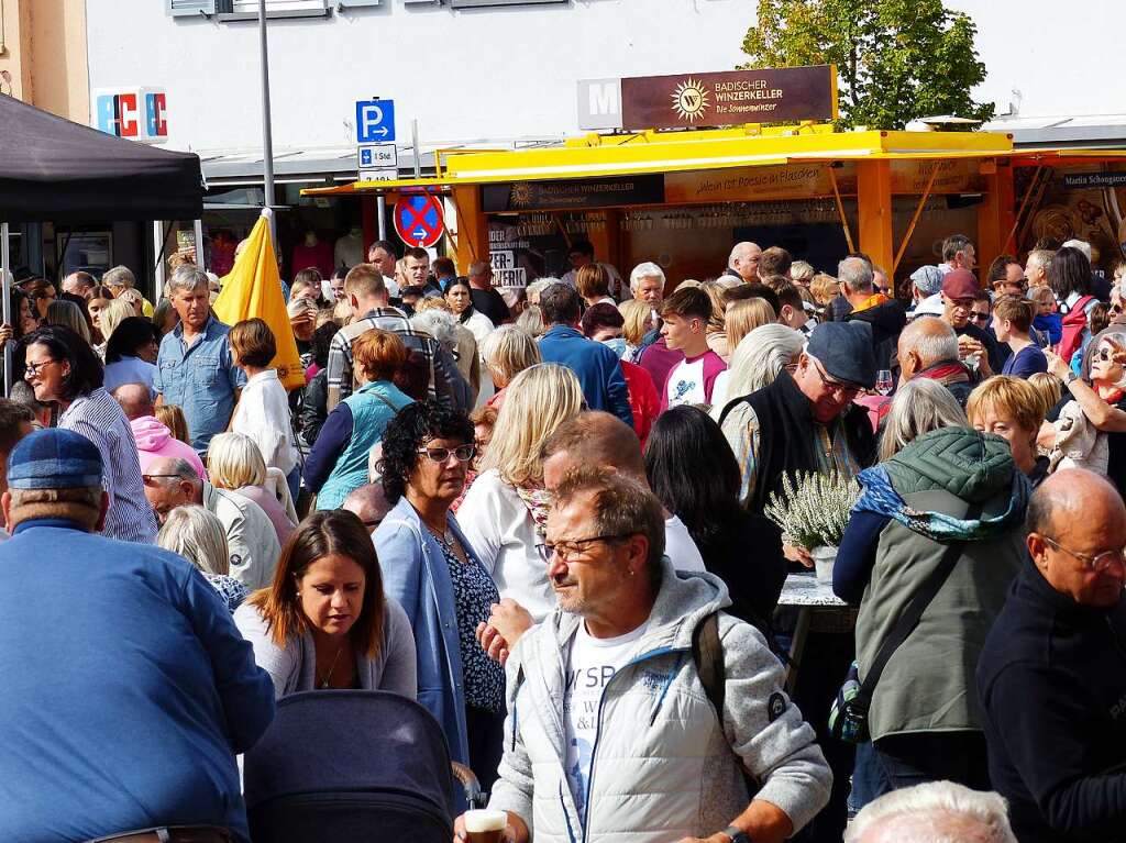 Am Samstagabend rockte Funrise die Bhne am Marktplatz. Am Sonntag bernahmen unter anderem Storl and Friends, Fees Ballettschule und 