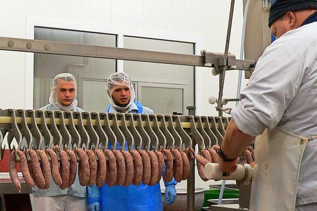 Bratwurstproduktion am Fließband - ei...gen Nachwuchsfleischer aus Frankreich. | Foto: Kurt Meier Bratwurstproduktion am Fließband - ei...gen Nachwuchsfleischer aus Frankreich. | Foto: Kurt Meier