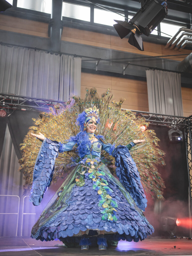 Die erste Comic Con in Freiburg