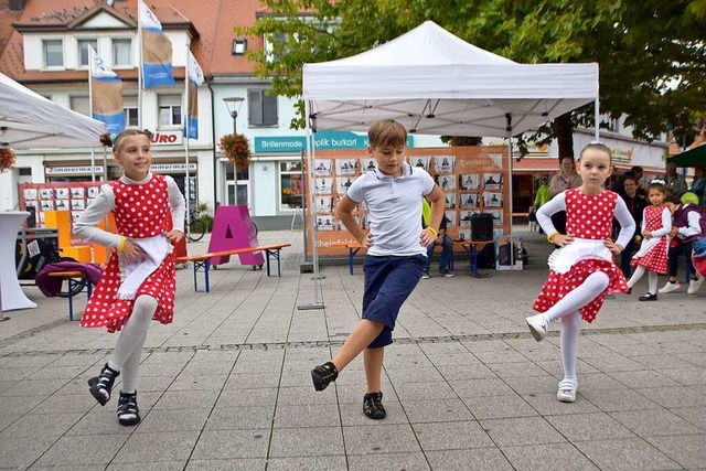 Abwechslung mit einer Tanzeinlage von ...om Bildungs- und Kulturverein Rosinka.  | Foto: Horatio Gollin