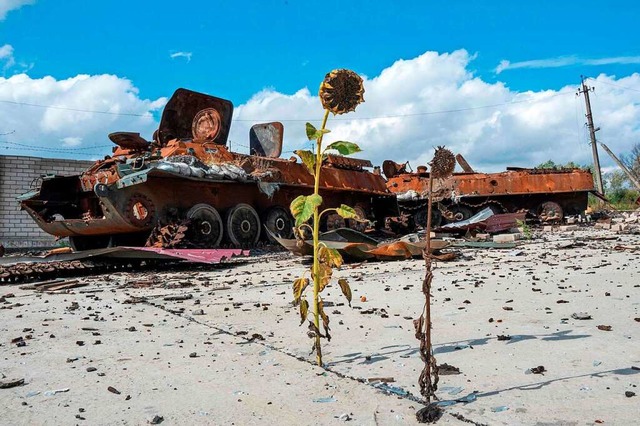 Zerstrte Panzer in der Ostukraine  | Foto: SERGEY BOBOK (AFP)