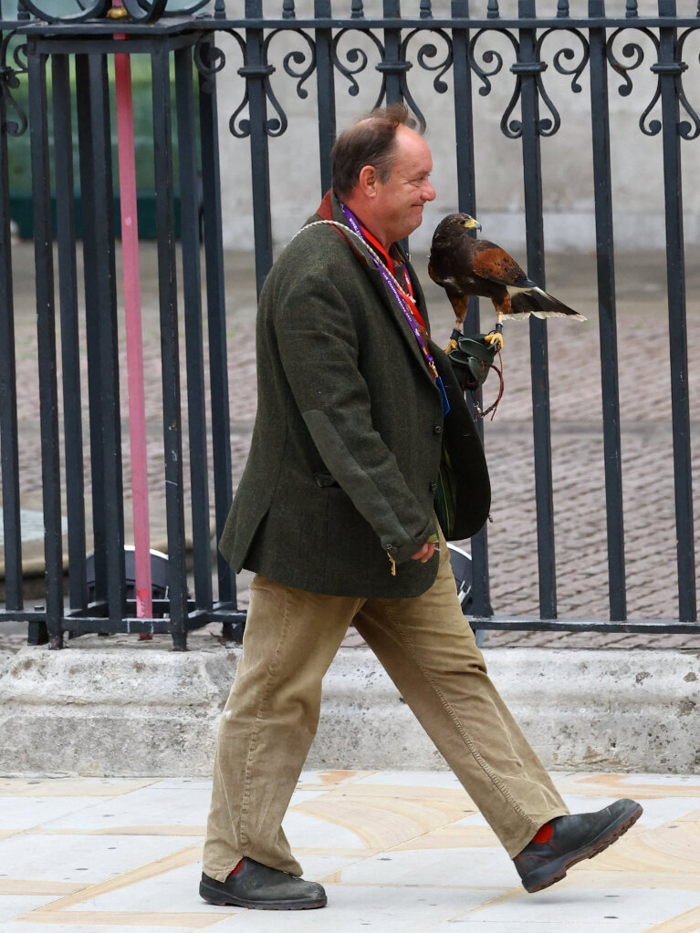 Wayne Davis bringt Wstenbussard Rufus zum Staatsakt vor der Beisetzung von Knigin Elizabeth II. zur Westminster Abbey.